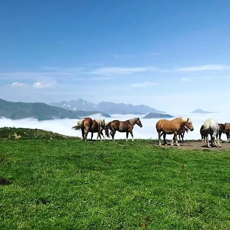 Le Cosy Liberty Apartment *