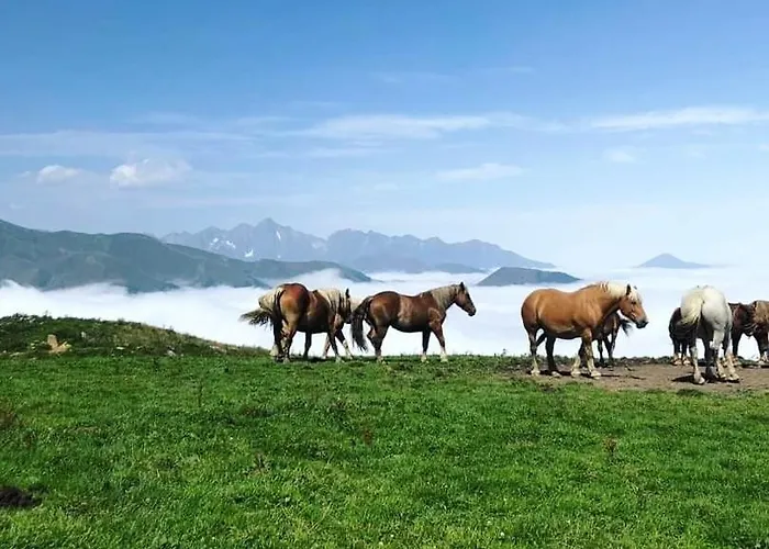 Le Cosy Liberty Appartement *